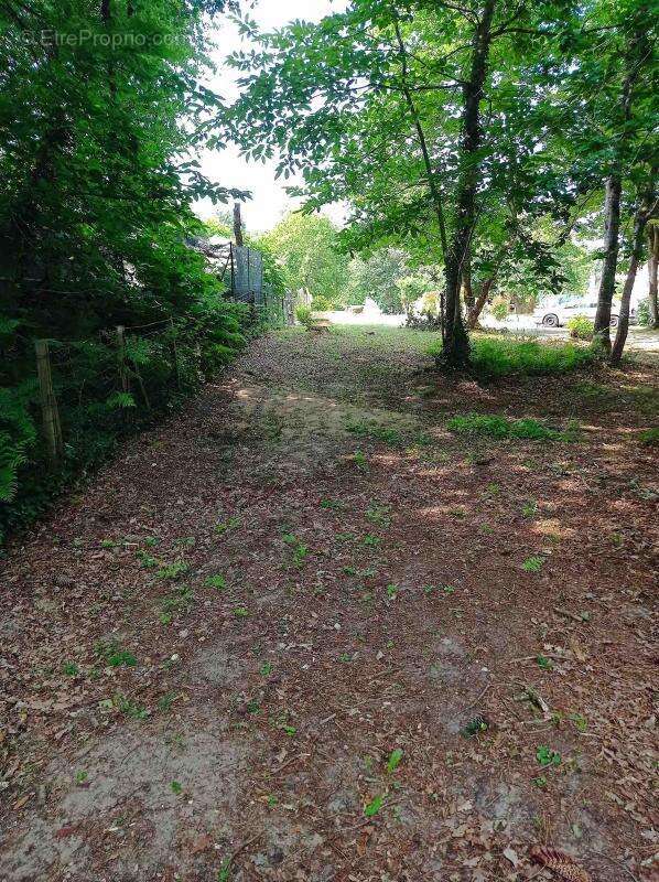 Terrain à LES MATHES