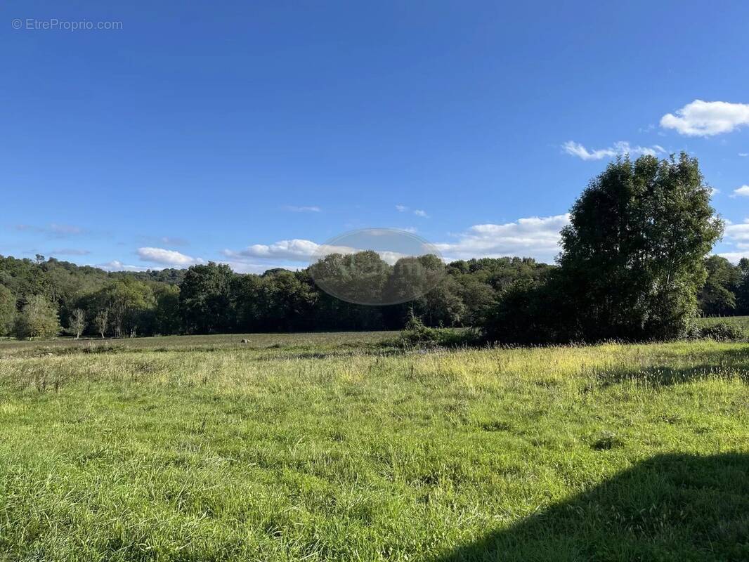 Terrain à BARBAZAN-DEBAT