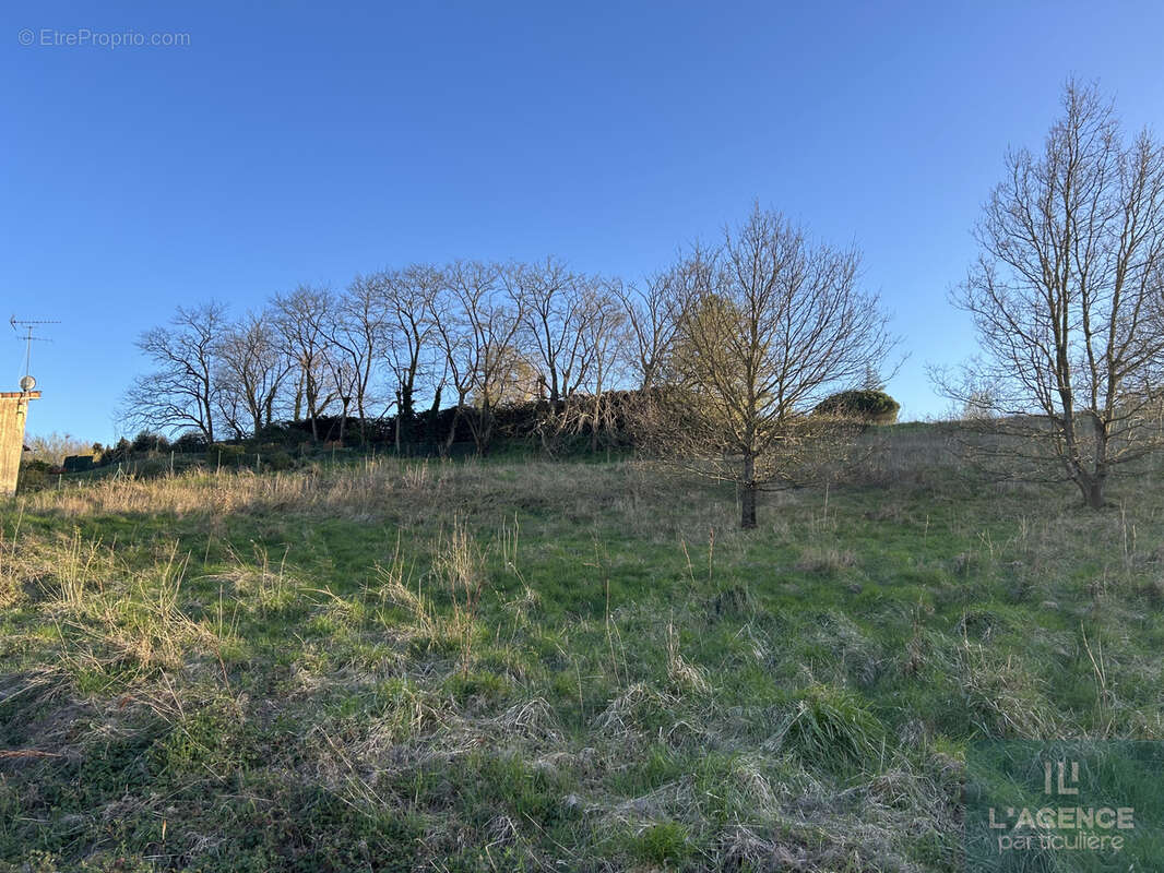 Terrain à NAILLOUX