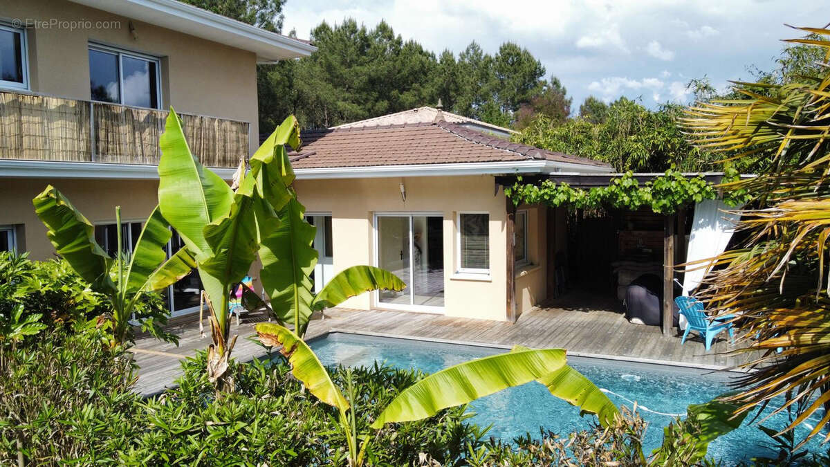 Maison à LEGE-CAP-FERRET