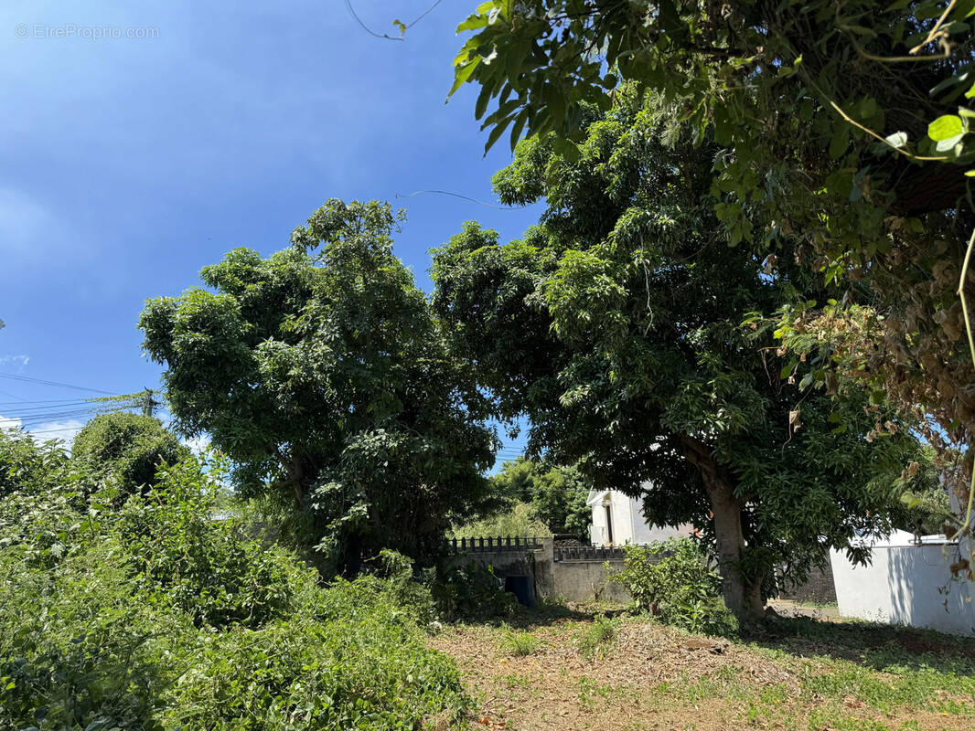 Terrain à SAINT-PIERRE