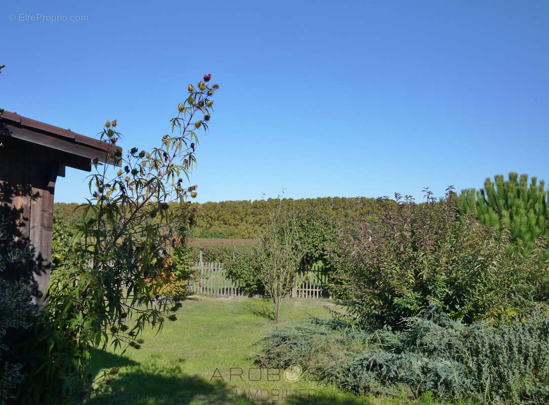 Maison à BUZET-SUR-BAISE