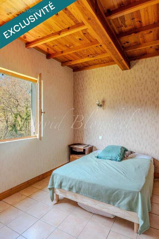 Photo 6 - Maison à LABESSIERE-CANDEIL