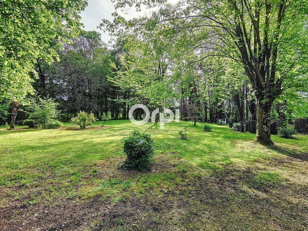 Château d'exception à Manois – Un joyau chargé d'histoire au cœur d'un parc de 8 936 m² - photo 8