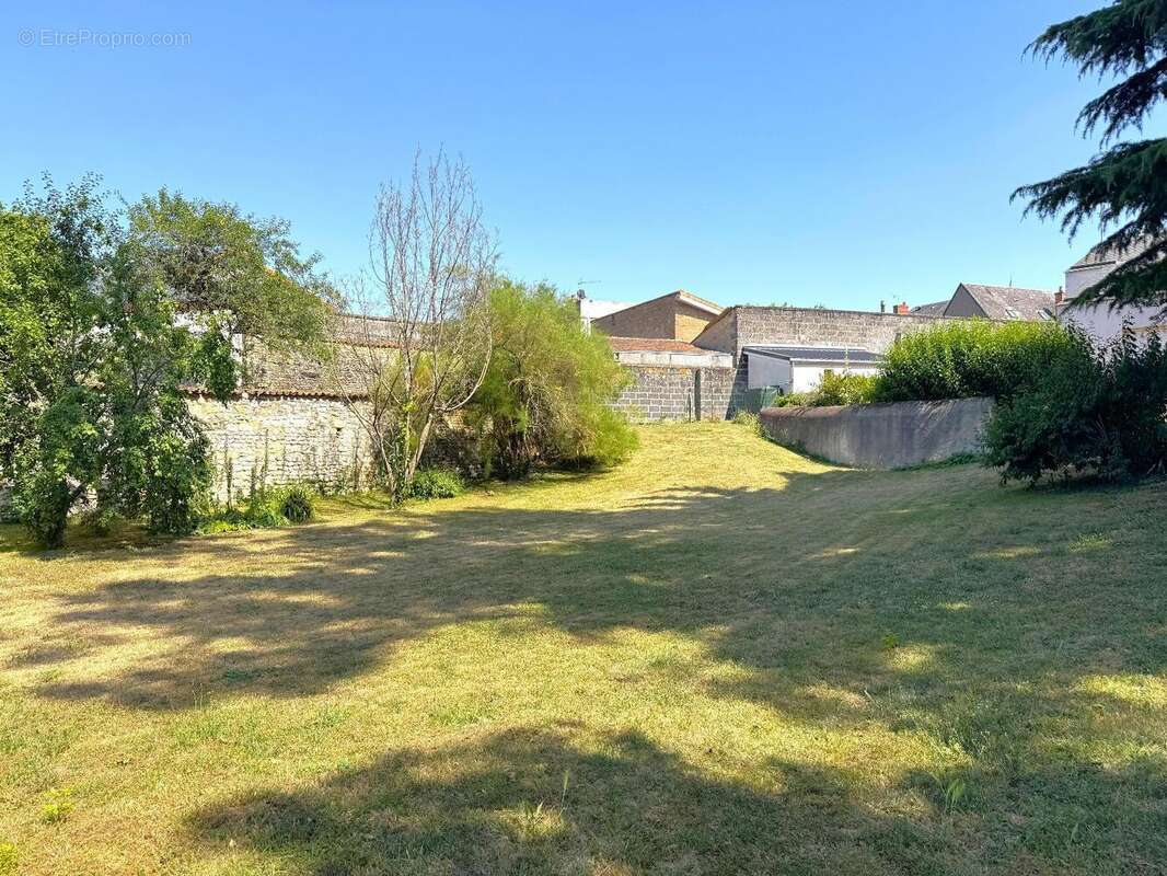   - Terrain à THOUARS