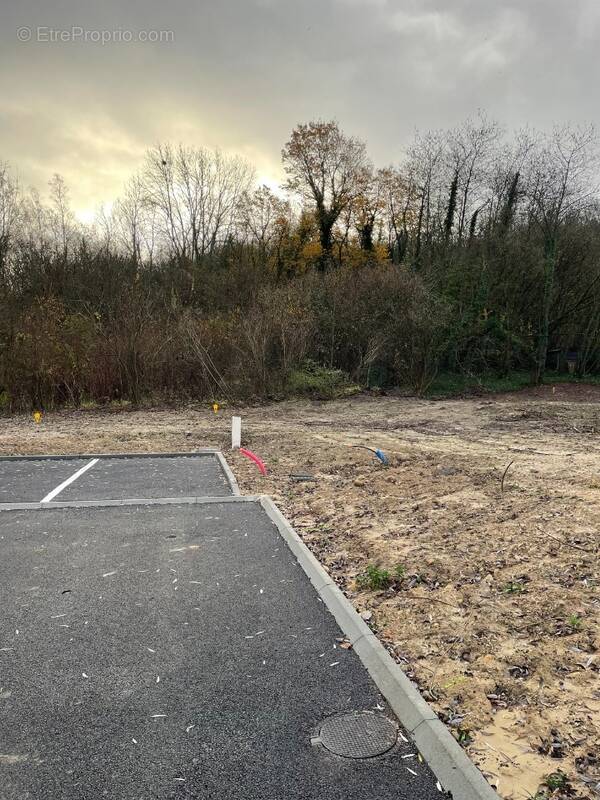 Terrain à SAINTINES