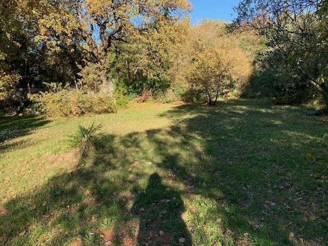 Maison à SAINTE-ANASTASIE-SUR-ISSOLE