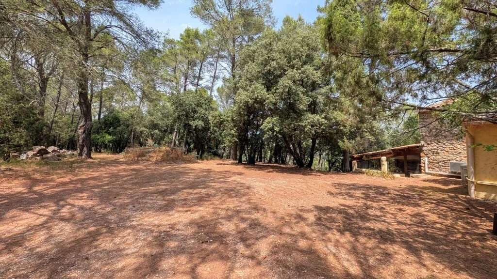 CARCES Propriété sur 7.5 hectares - photo 15