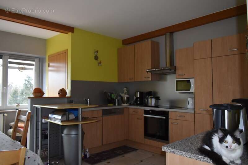 Maison à DIEMERINGEN