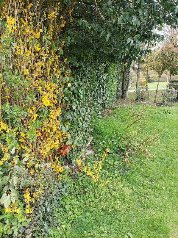 Terrain à MOY-DE-L&#039;AISNE
