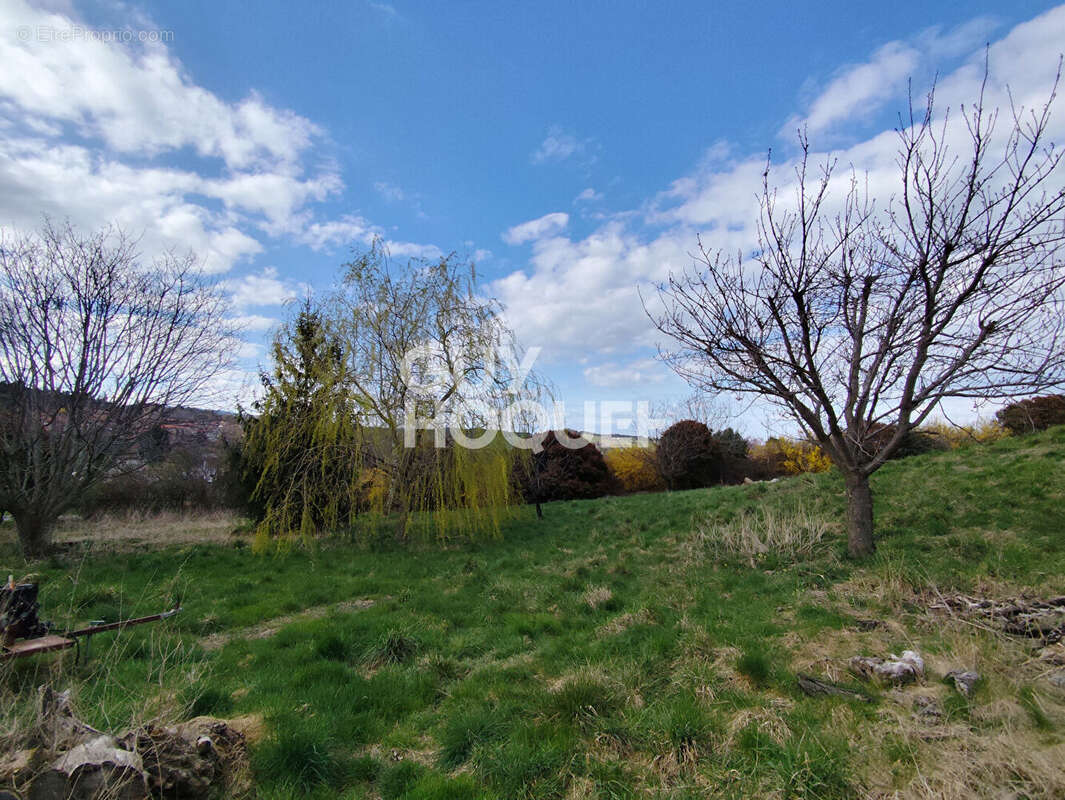 Terrain à SAINT-JEAN-SOLEYMIEUX