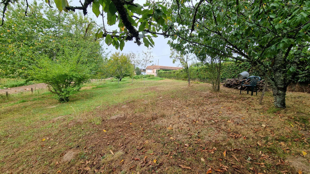 20240829_143639 - Terrain à AUGIGNAC