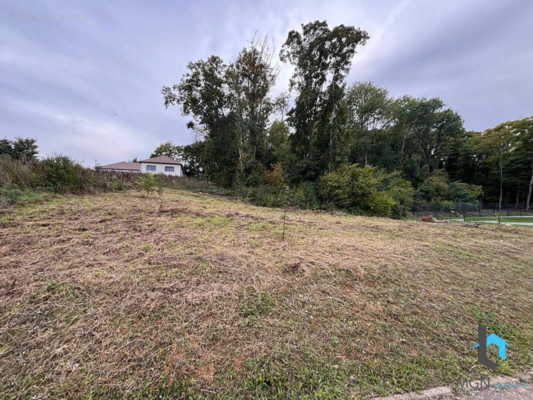 Terrain à NOGENT-LE-ROI