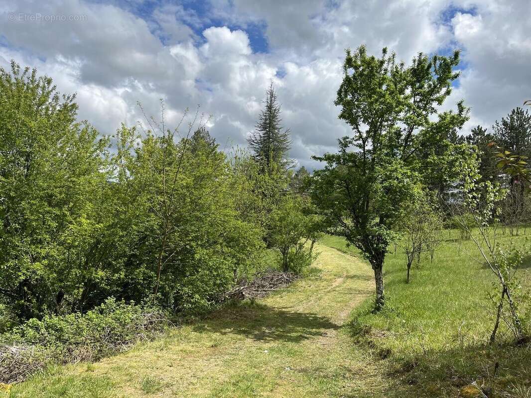 IMG1433 - Maison à FIGEAC