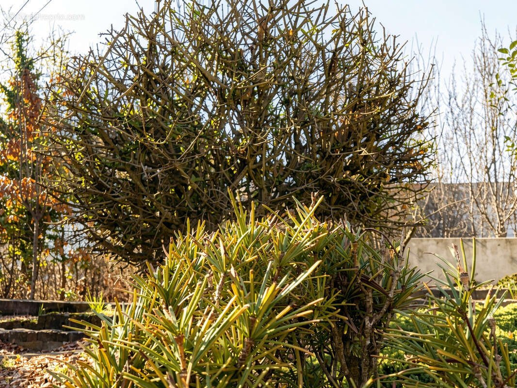 Maison à SAINT-LOUIS