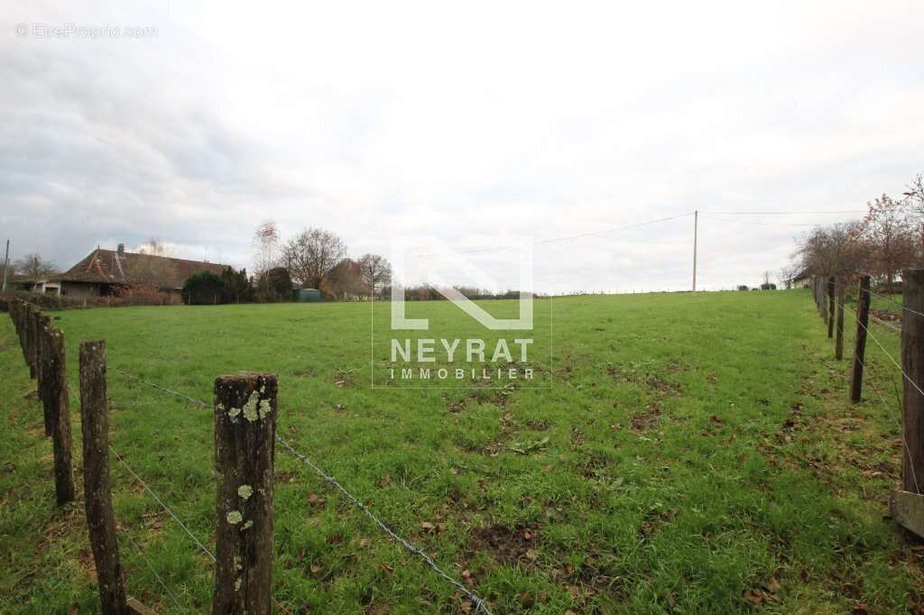 Terrain à FRONTENAUD