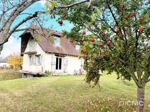 Maison à AMFREVILLE-LES-CHAMPS