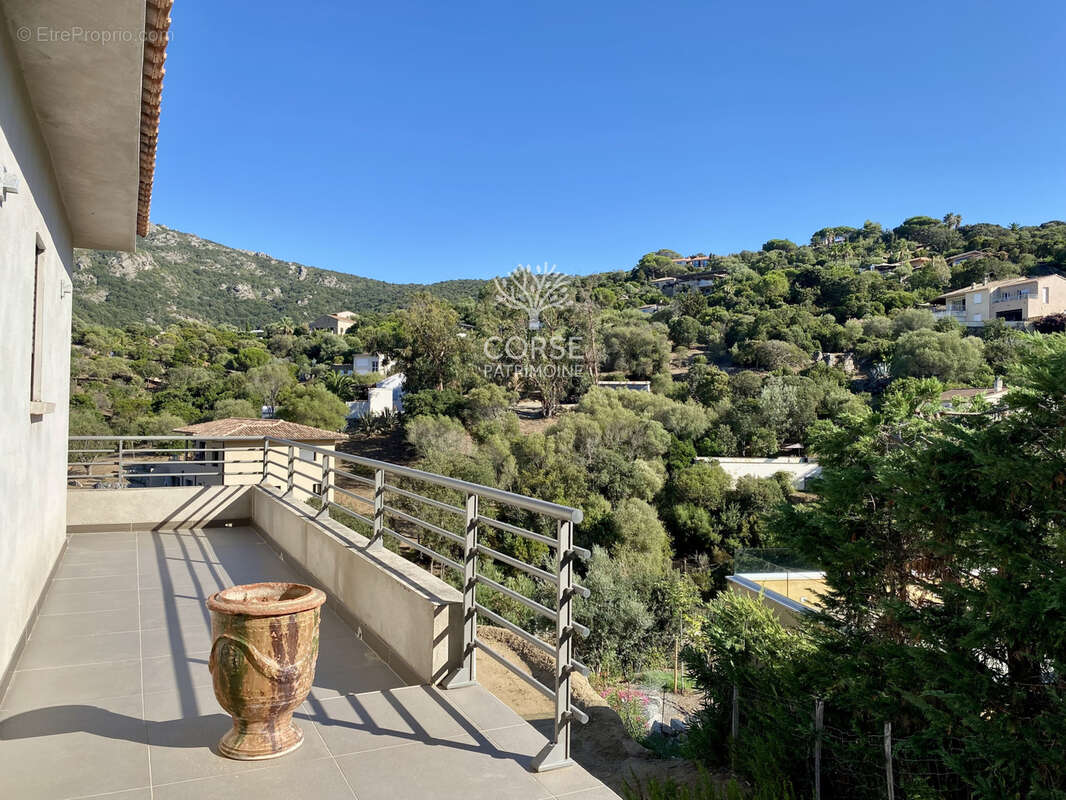 Maison à BELVEDERE-CAMPOMORO