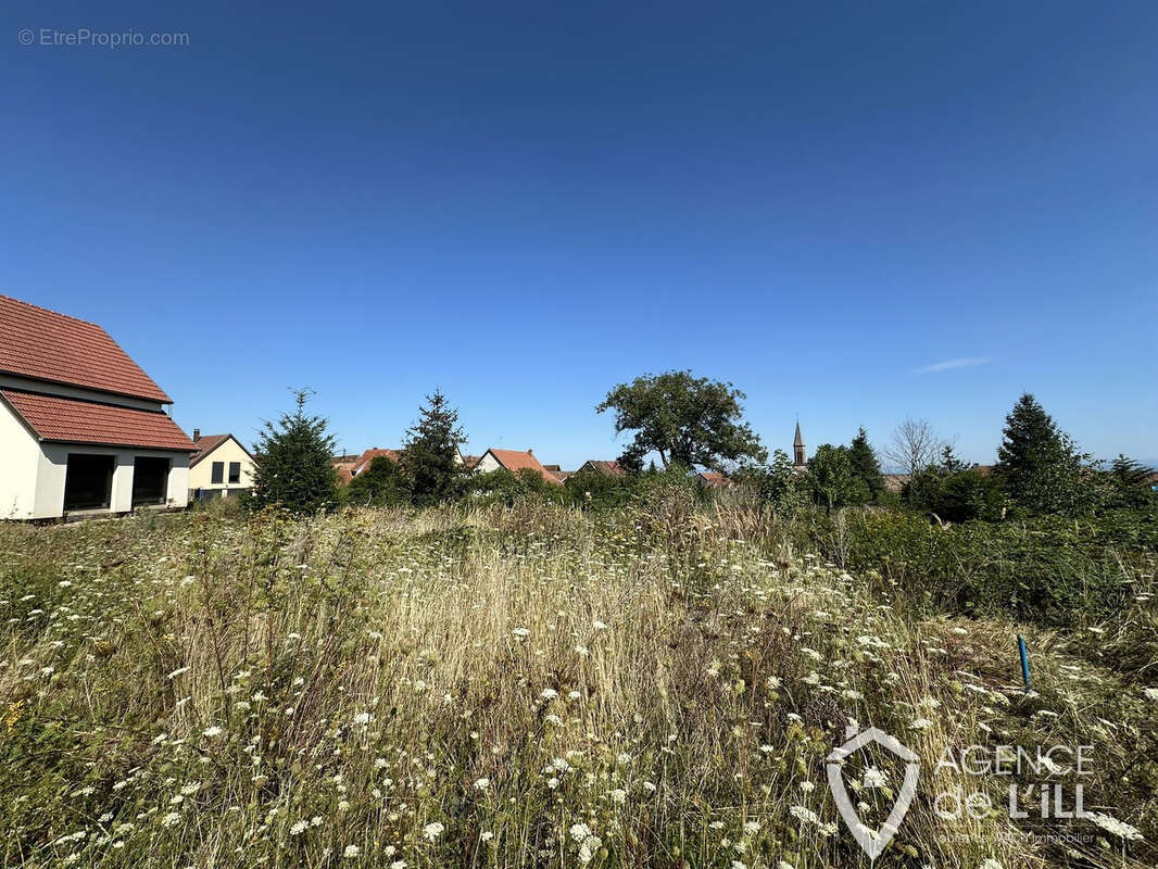 À VENDRE   Terrain constructible viabilisé à KINTZHEIM (67600) - photo 3