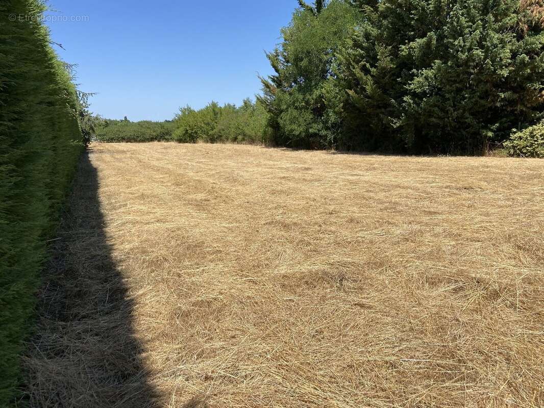 Terrain à SAINT-LAMBERT-DU-LATTAY