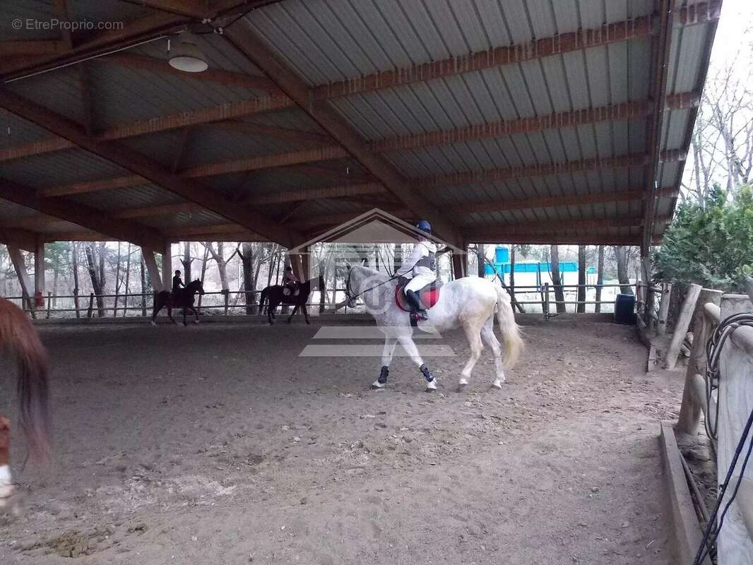 Commerce à MONTAUROUX