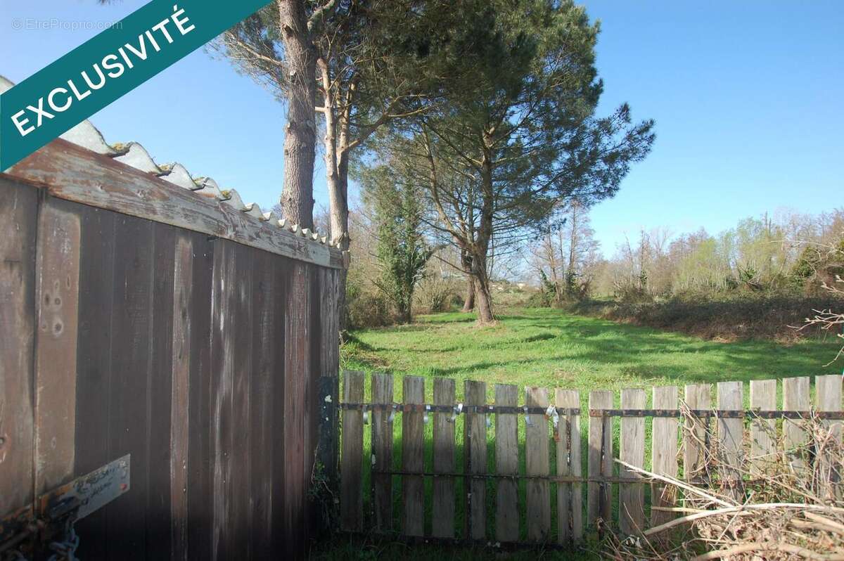 Photo 3 - Maison à SAINT-CIERS-SUR-GIRONDE