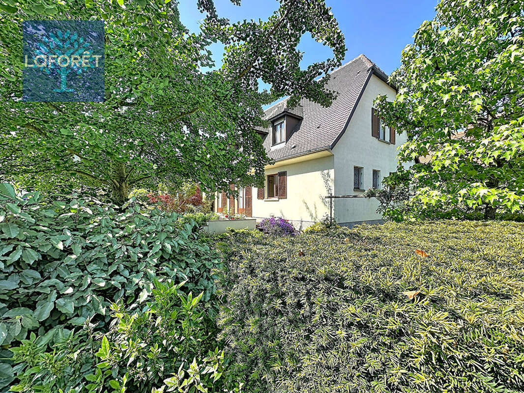Maison Illkirch Graffenstaden 7 pièce(s) 180 m2 - 5 chambres - photo 3