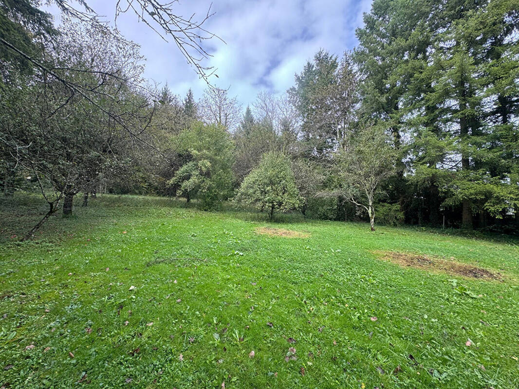 Terrain à NOVILLARS