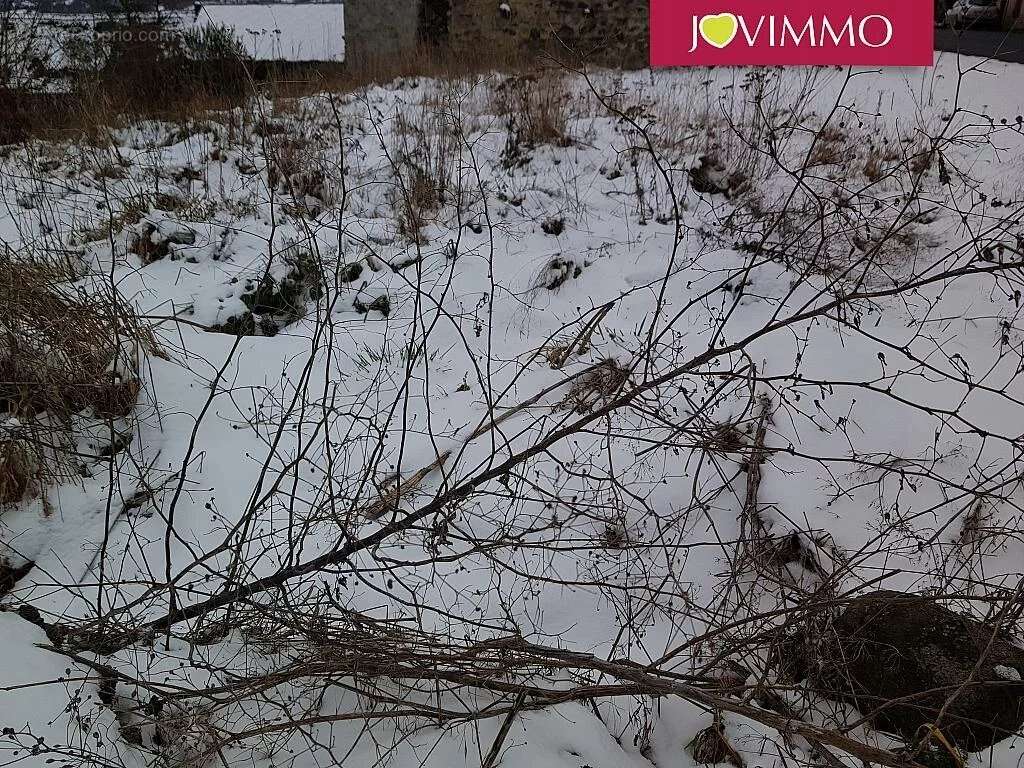 Terrain à SAINT-PIERRE-ROCHE