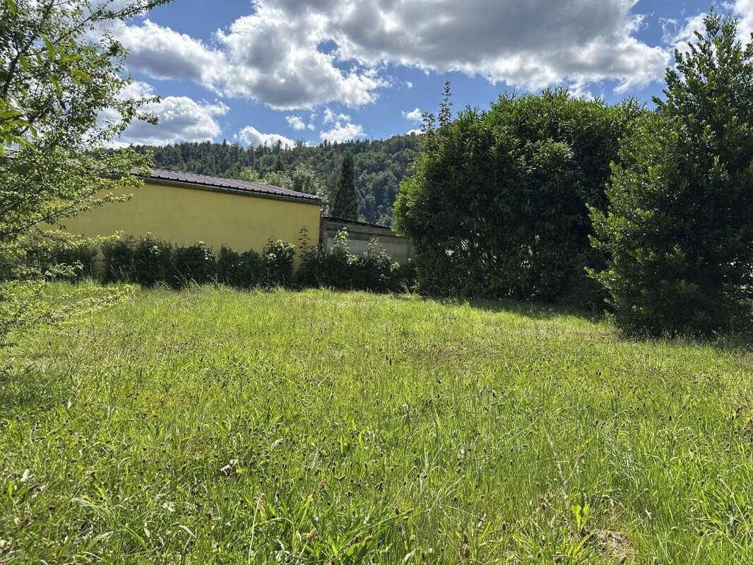 IMG_0324 - Terrain à ODEREN