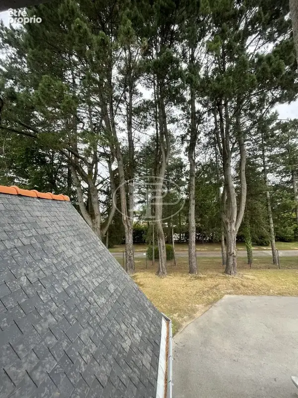 Maison 8 pièces 215 m² à vendre à Ploeren (56880) - photo 3