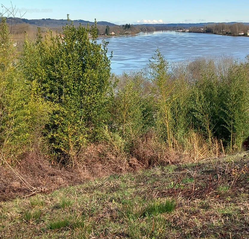 Terrain à URT