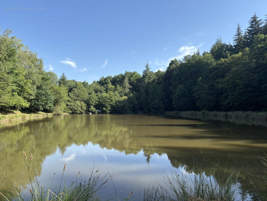 Terrain à BUSSIERE-GALANT