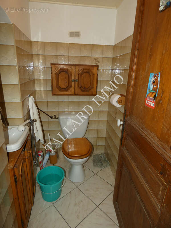 Gros potentiel habitation et/ou location annuelle ou saisonnière - photo 16