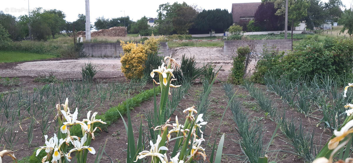 Terrain à ANTHELUPT