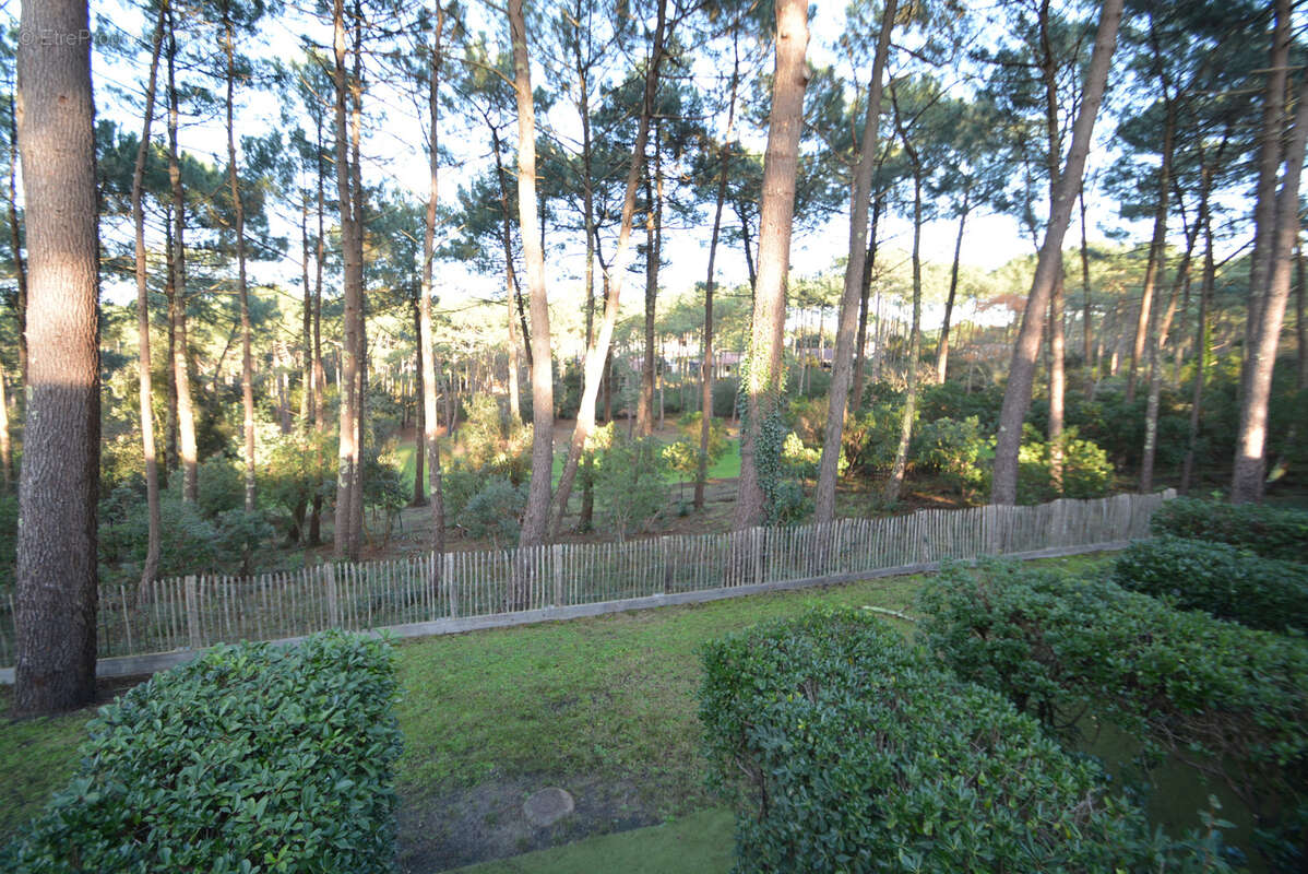 Appartement à LACANAU