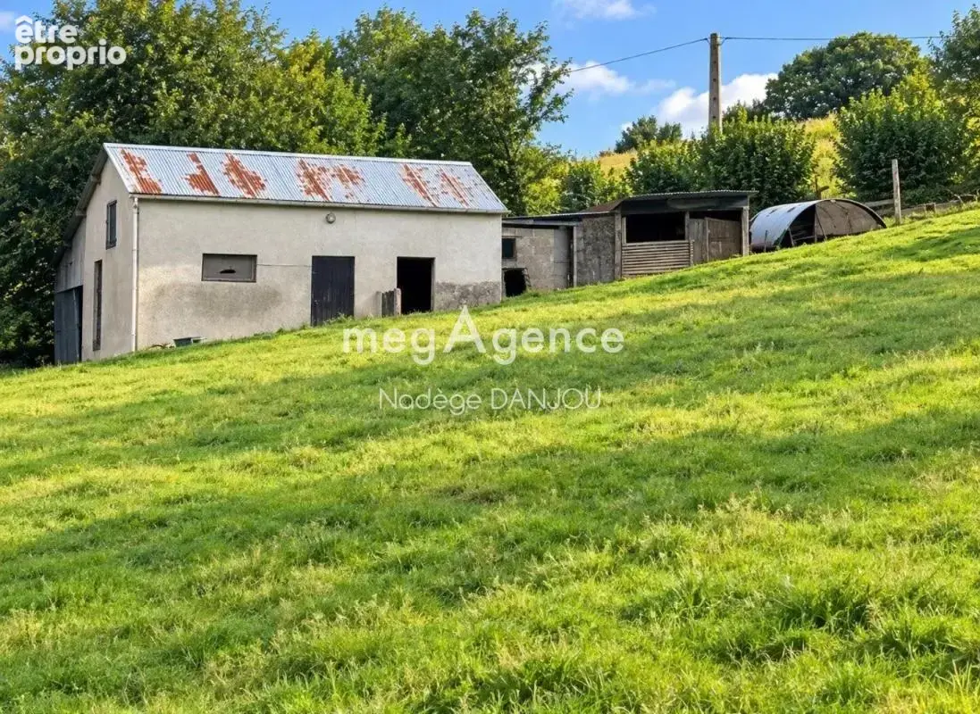 Pavillon vie de plain pied sur sous-sol  avec dependance et terrain 9103 m2 noues de sienne - photo 2