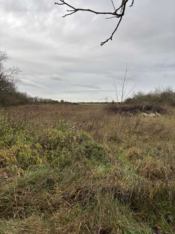 Maison à DAMMARIE-EN-PUISAYE