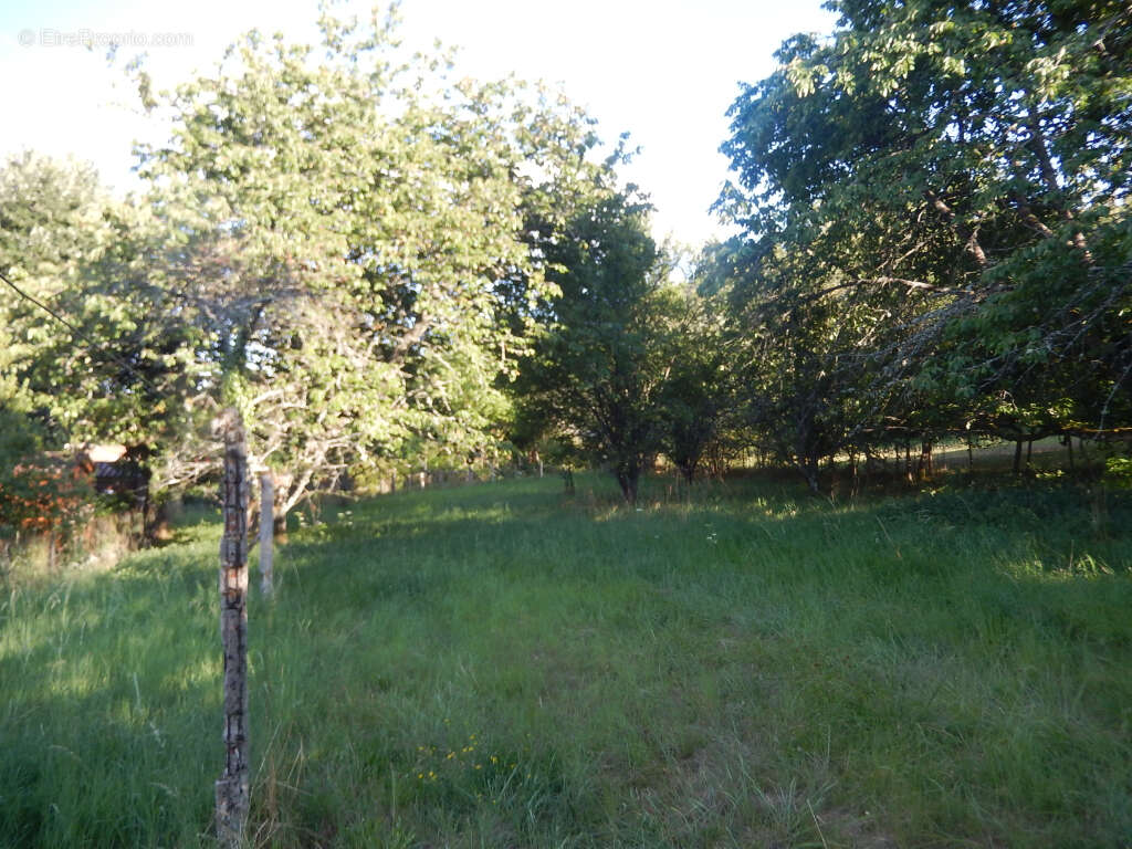 Terrain à SAINT-SYMPHORIEN-DE-MARMAGNE