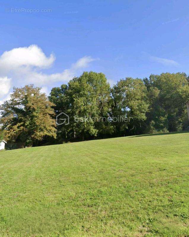 Terrain à SAINT-MAURICE-MONTCOURONNE
