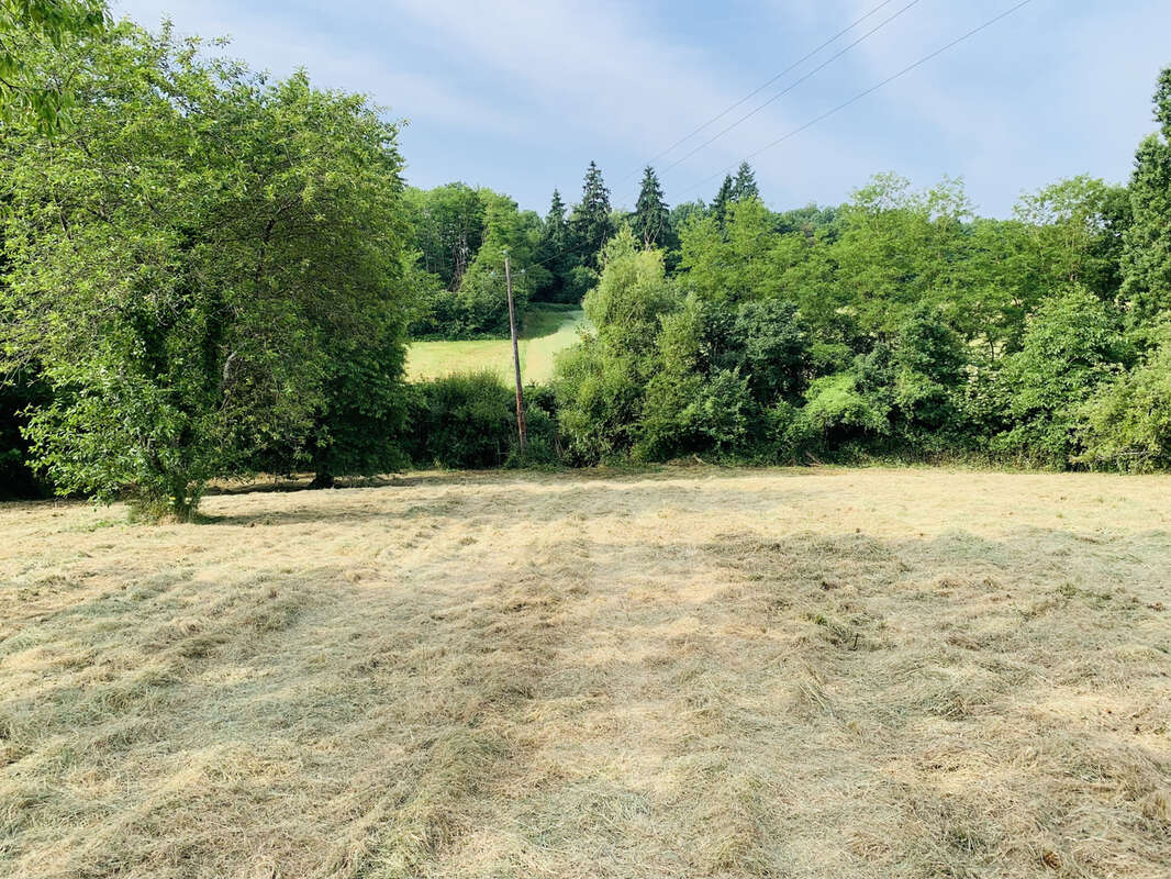 CHEROY Terrain constructible de  3400 m2 - photo 4