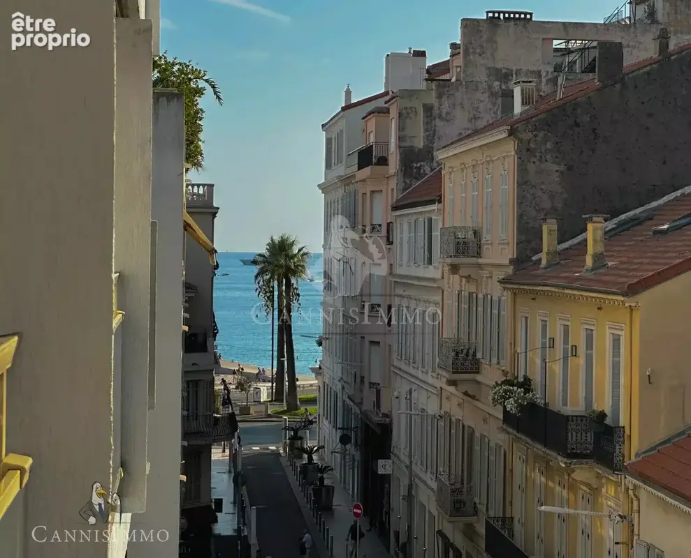 Cannes banane - studio entièrement rénové avec terrasse - photo 2