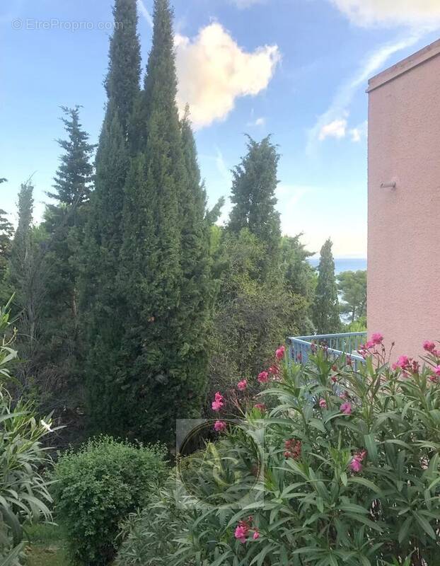 Appartement à COLLIOURE