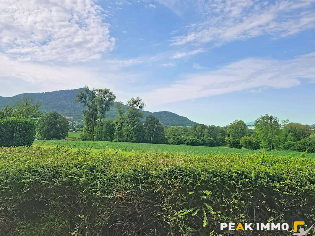 BONS EN CHABLAIS- A 5 mn du CEVA -T4 de 98m2 avec jardin privatif de 400 m2 - photo 2