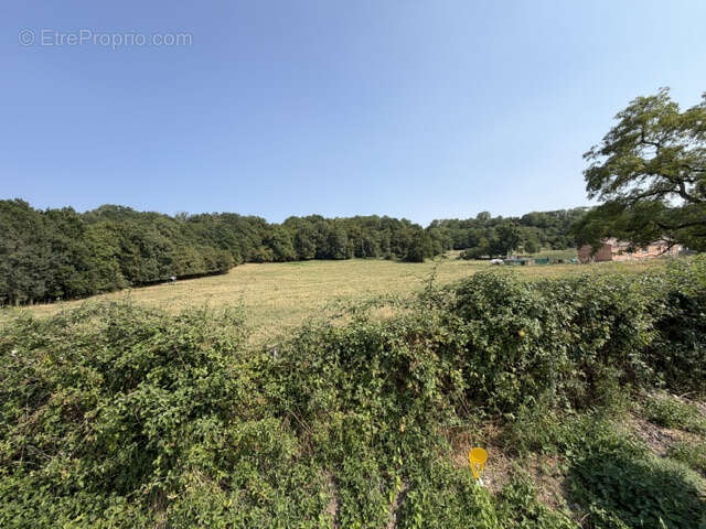Grand terrain de 17 698 M2 avec partie constructible de 1549 M2 - photo 5