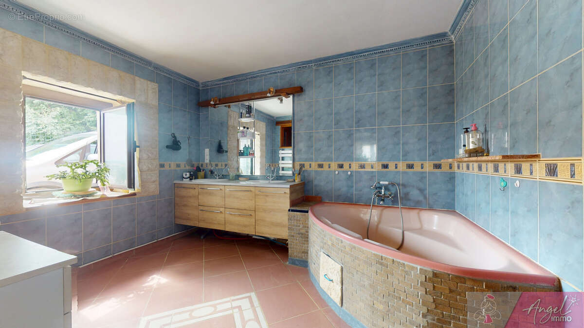 Maison en pierre à Souvans, bois privatif - photo 8