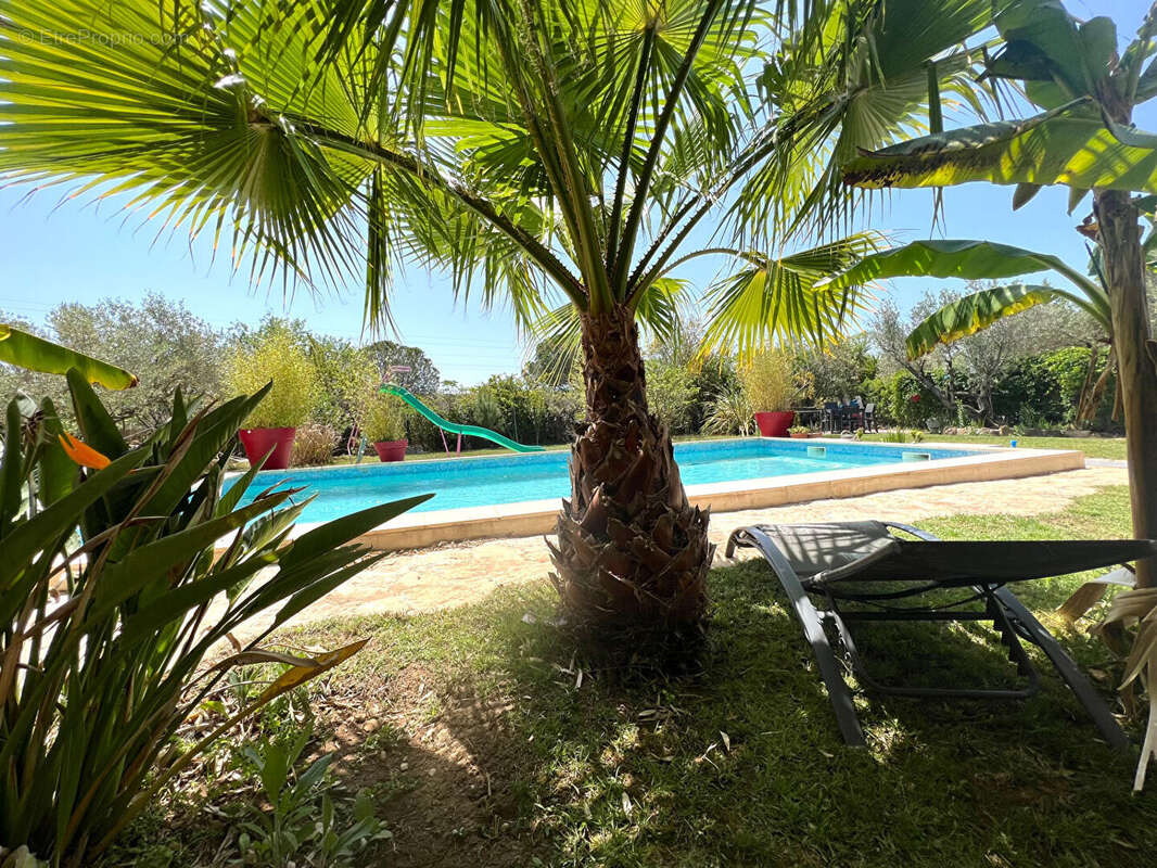 Maison à SAINT-MARTIN-DE-CRAU