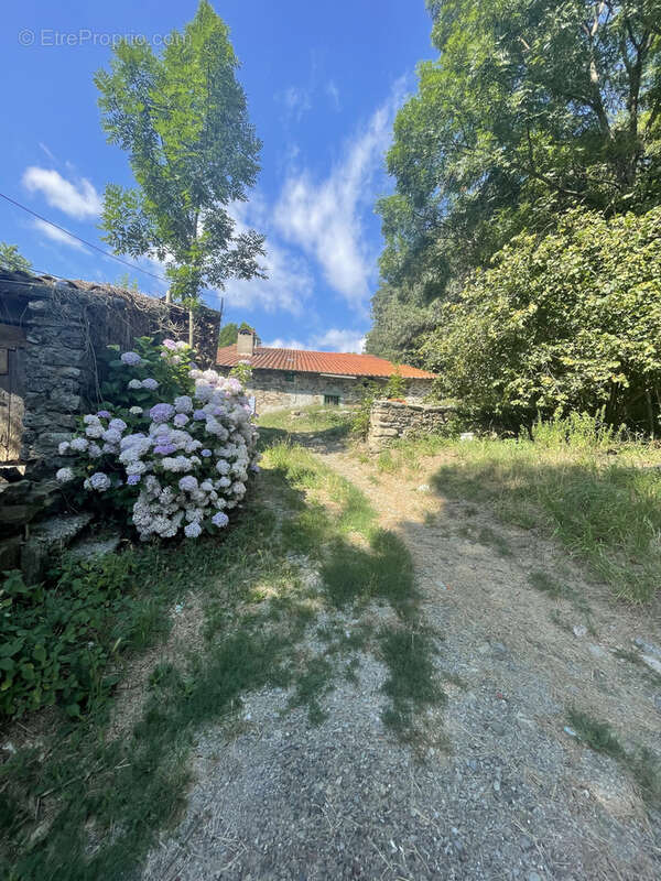 Maison à PRATS-DE-MOLLO-LA-PRESTE