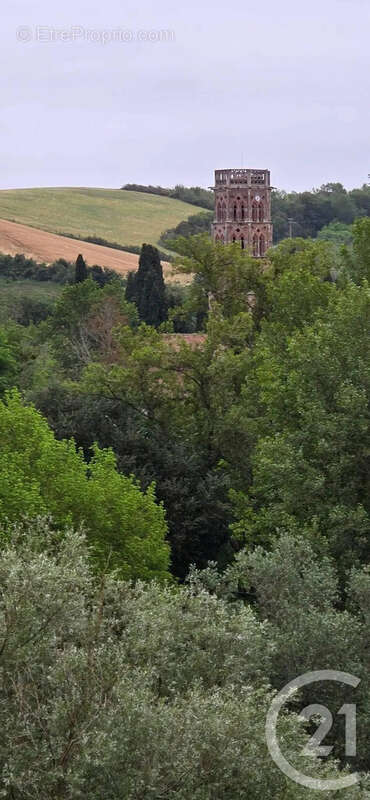 Maison à MONTESQUIEU-VOLVESTRE