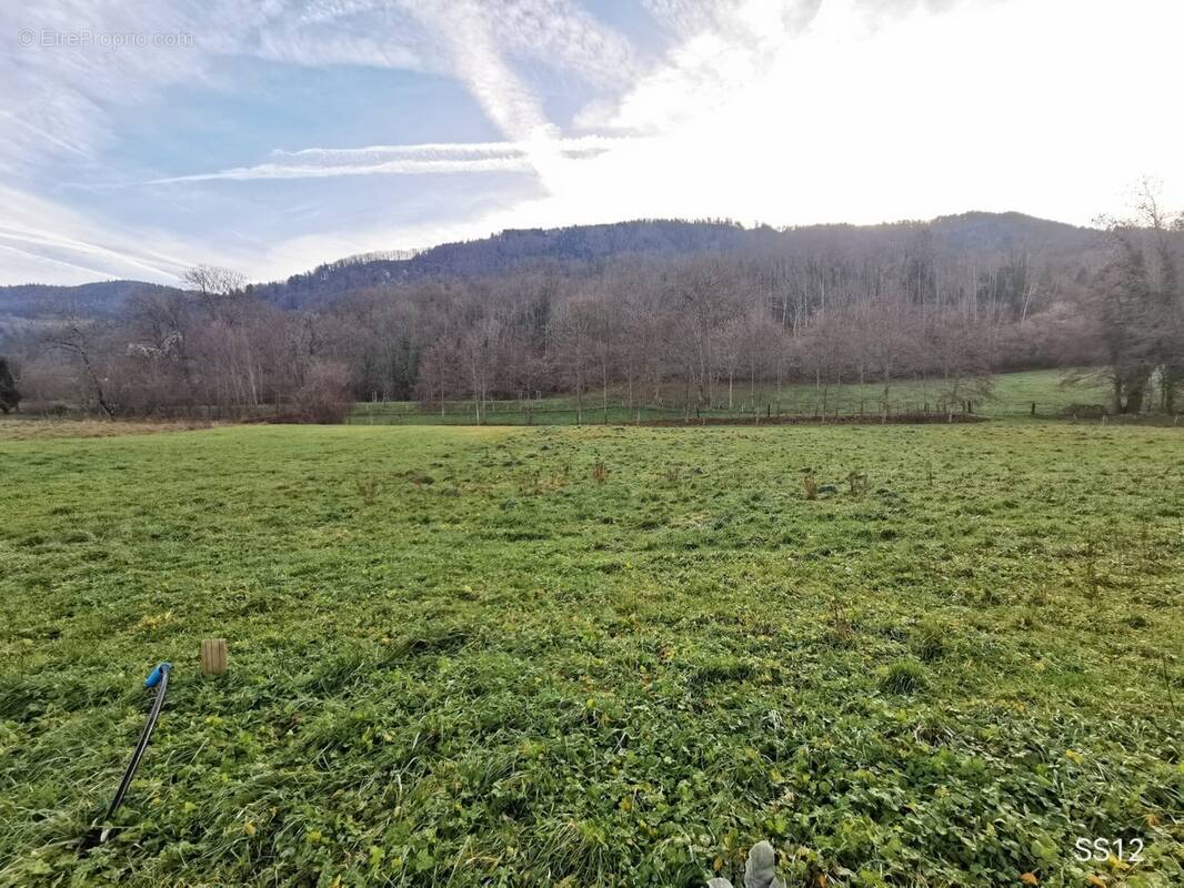 Terrain à CERVENS